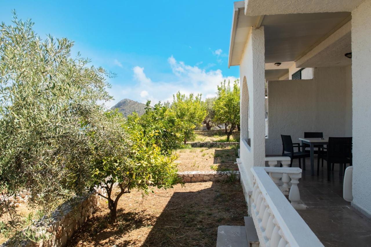 Hotel Phaistos Tolón